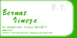 bernat vincze business card